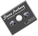 Steve Anthony
